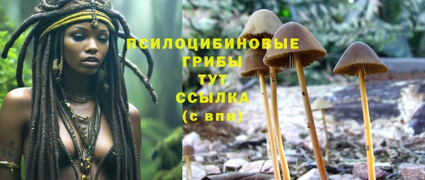 крисы Алексин