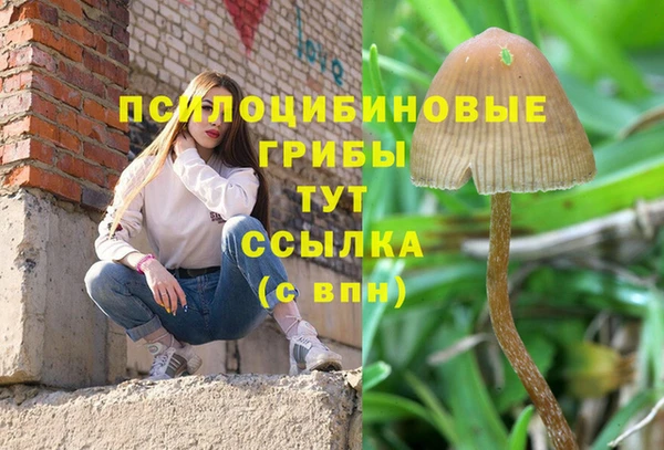героин Грязовец